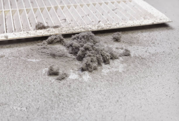 Best Affordable Air Duct Cleaning  in Leland Grove, IL