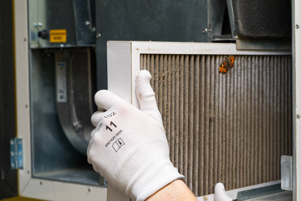 Best Air Quality Test  in Leland Grove, IL