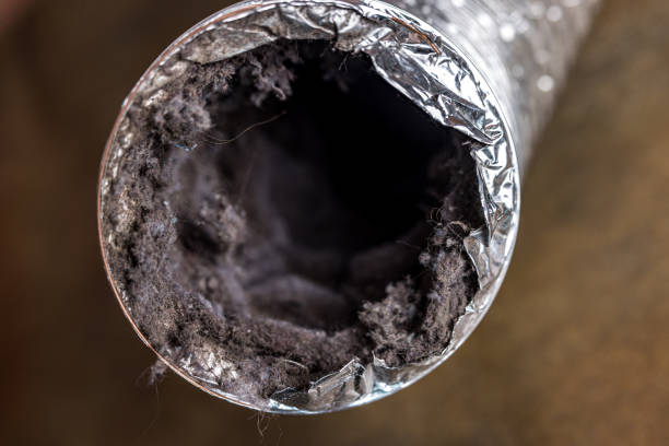 Best Best Air Duct Cleaning Company  in Leland Grove, IL